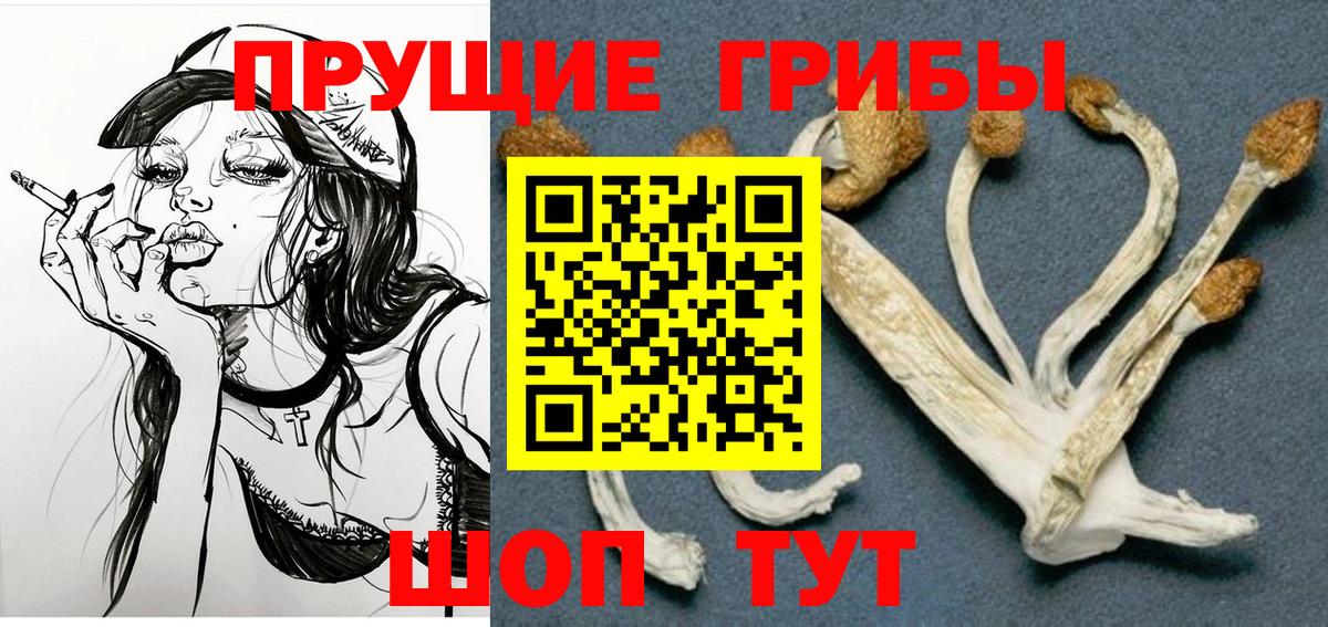 Псилоцибиновые грибы мицелий Гурьевск