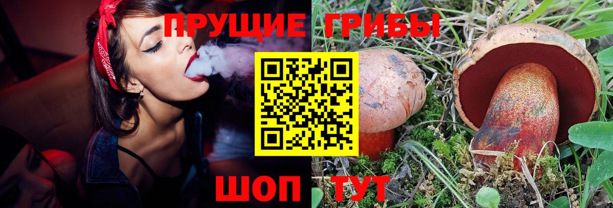 Псилоцибиновые грибы MAGIC MUSHROOMS  что такое   Псилоцибиновые грибы Cubensis  Гурьевск  Вход с VPN 